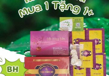TIÊU VIÊM NỮ HOÀNG SƠN Chính Hãng 138K - Viên Đặt Phụ Khoa