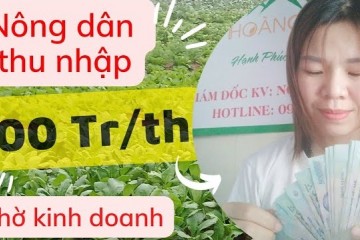 Giám Đốc Nguyễn Hiền Cô Nông Dân Vượt Khó Và Chăm Chỉ