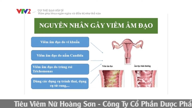 NGUYÊN NHÂN GÂY VIÊM ÂM ĐẠO