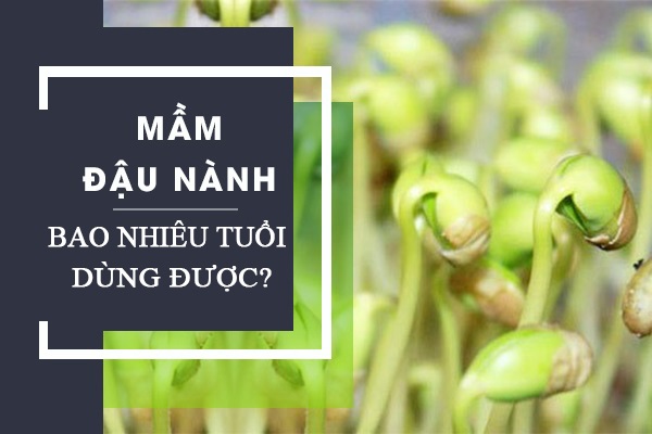 Mầm đậu nành bao nhiêu tuổi uống được