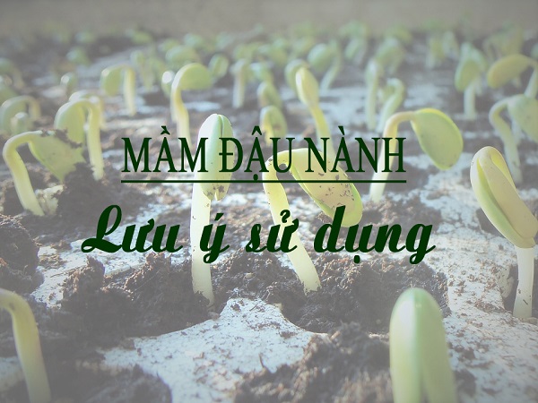 Lưu ý sử dụng mầm đậu nành