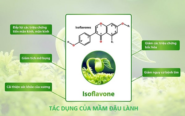 Tác dụng của mầm đậu nành