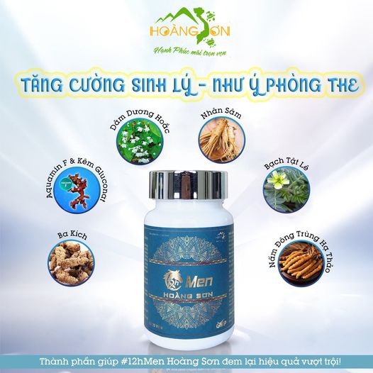 Thành phần 12h men Hoàng Sơn
